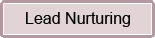 Lead Nurturing